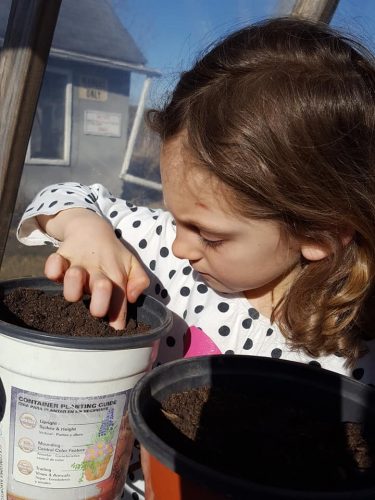 Gardeners Ramp Up Planting For Prep for Food Shortage